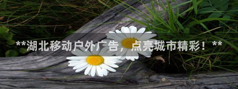 杏宇平台总代理电话