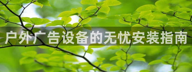 杏宇平台登录步骤图