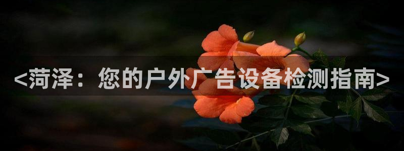 杏宇平台代理怎么样
