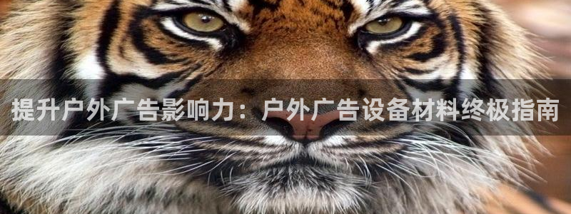 杏宇平台代理多少钱一个月：提升户外广告影响力：户外广告设备材料终极指南