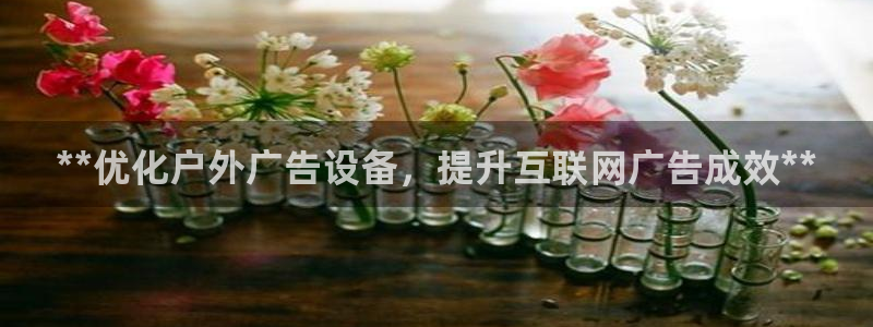 杏宇平台登录方法：**优化户外广告设备，提升互联网广告成效**