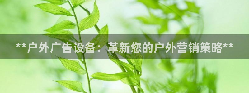 杏宇平台代理怎么样：**户外广告设备：革新您的户外营销策略**