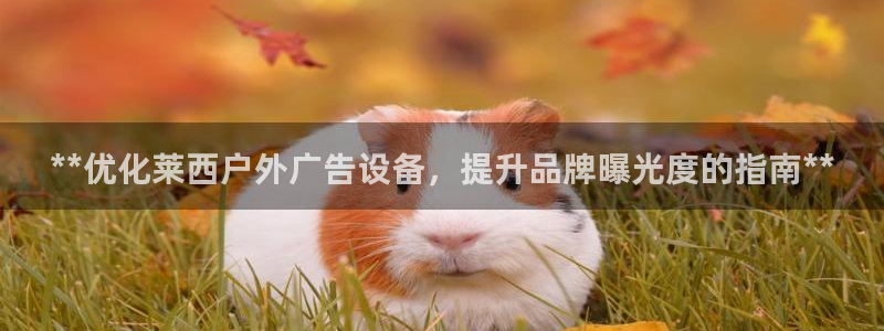 杏宇平台代理怎么样赚钱：**优化莱西户外广告设备，提升品牌曝光度的指南**