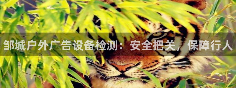 杏宇平台总代理