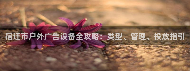杏宇平台代理多少钱