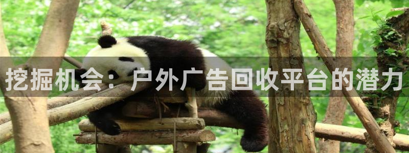 杏宇平台招商电话号码：挖掘机会：户外广告回收平台的潜力
