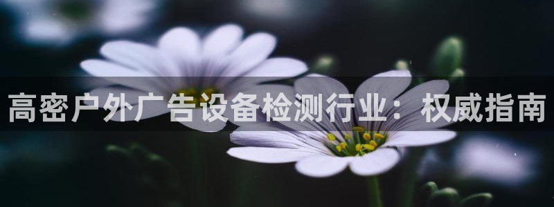 杏宇平台注册地址在哪里