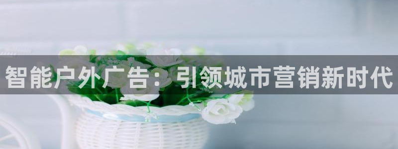 杏宇平台代理