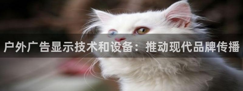 杏宇平台登录方法