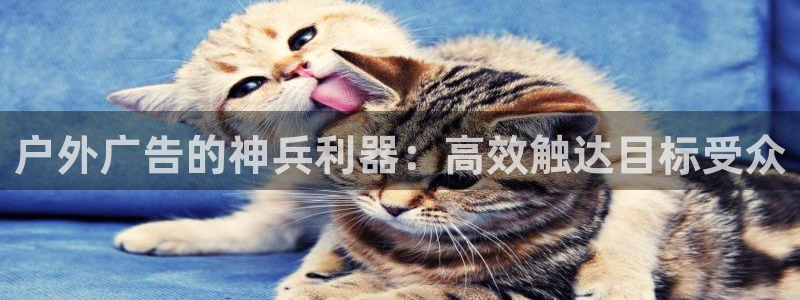 杏宇平台总代理是谁