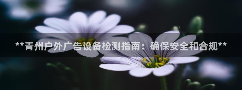 杏宇平台好吗