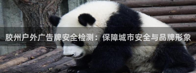 杏宇平台代理多少钱一个