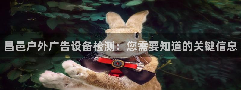 杏宇代理注册
