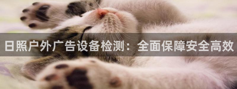 杏宇平台开户