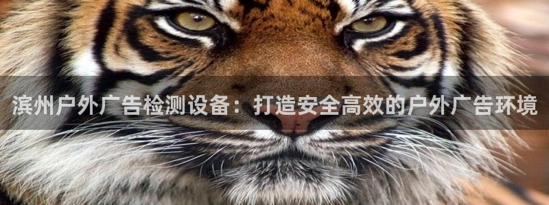 杏宇平台怎么样