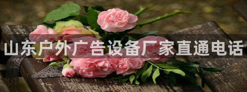 杏宇平台开户