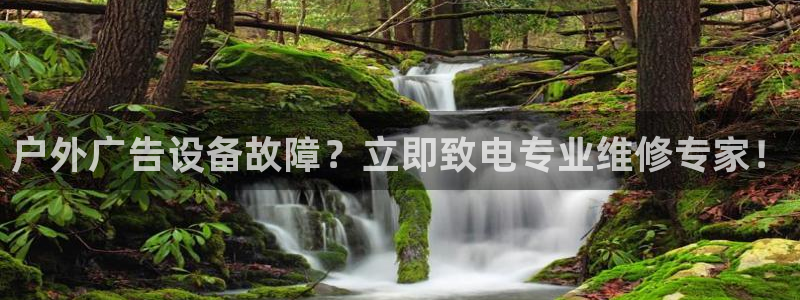杏宇官方平台官网入口