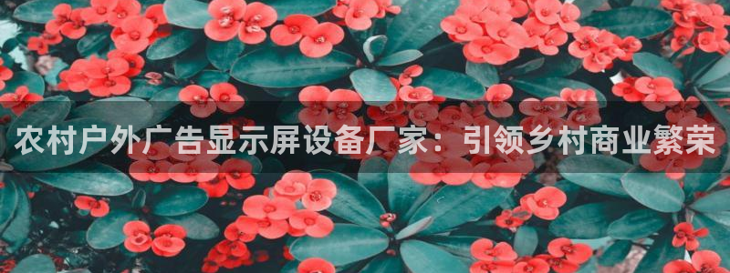 杏宇平台客服：农村户外广告显示屏设备厂家：引领乡村商业繁荣