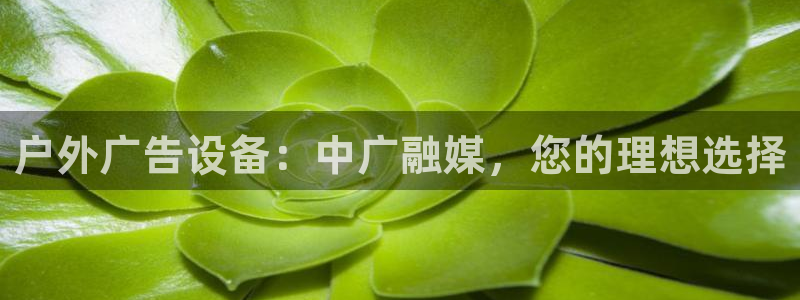 杏宇官方平台官网下载