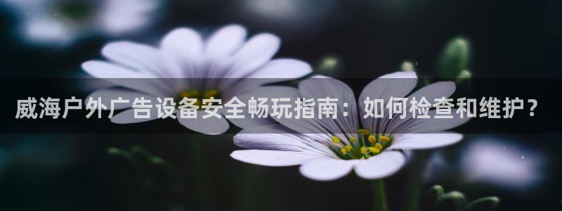 杏宇平台登录步骤