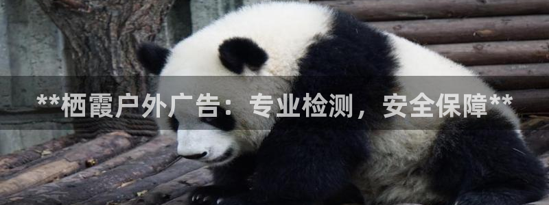 杏宇平台怎么样