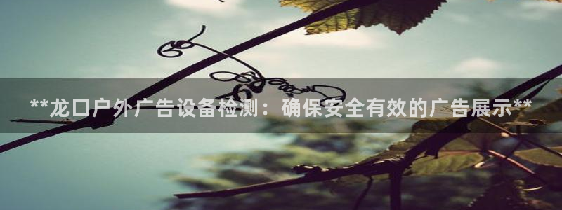 杏宇平台怎么样：**龙口户外广告设备检测：确保安全有效的广告展示**