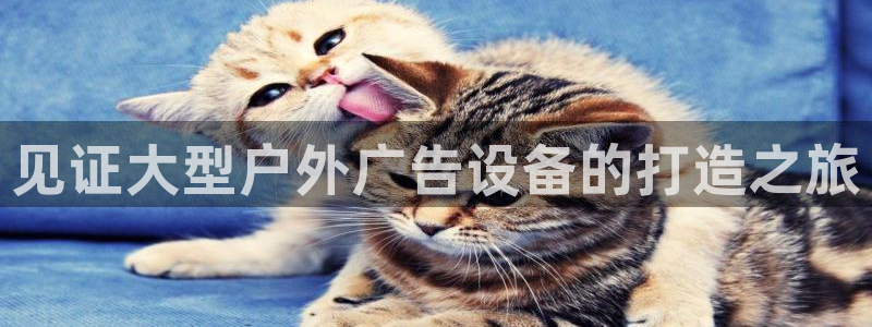 杏宇官方平台官网入口