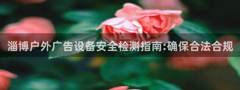 杏宇平台总代理：淄博户外广告设备安全检测指南:确保合法合规