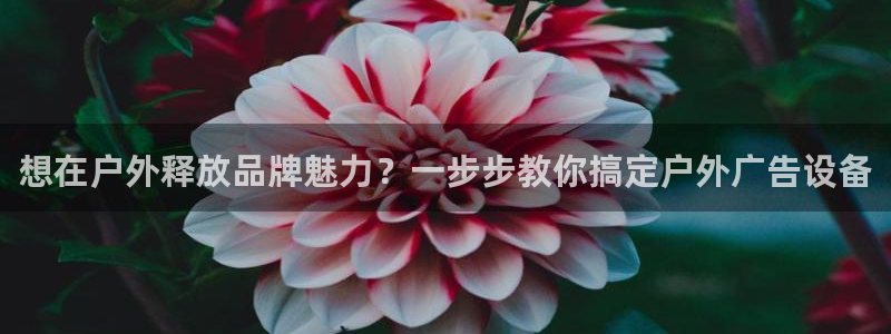 杏宇平台怎么样知乎