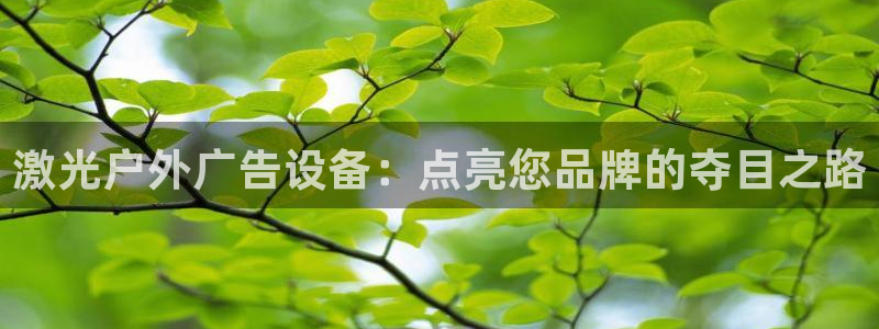 杏宇平台代理怎么赚钱