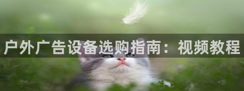 杏宇官方平台官网