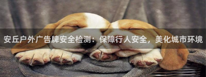 杏宇平台代理怎么赚钱的