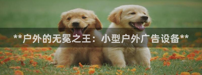 杏宇平台登陆