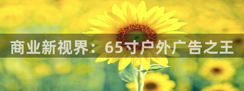 杏宇平台代理怎么样啊