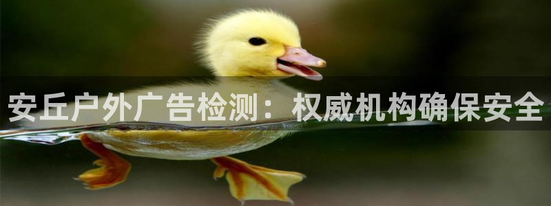 杏宇平台总代理