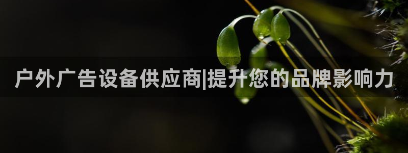 杏宇平台代理怎么赚钱快：户外广告设备供应商|提升您的品牌影响力