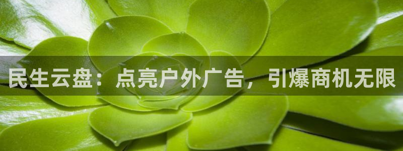 杏宇平台代理怎么样