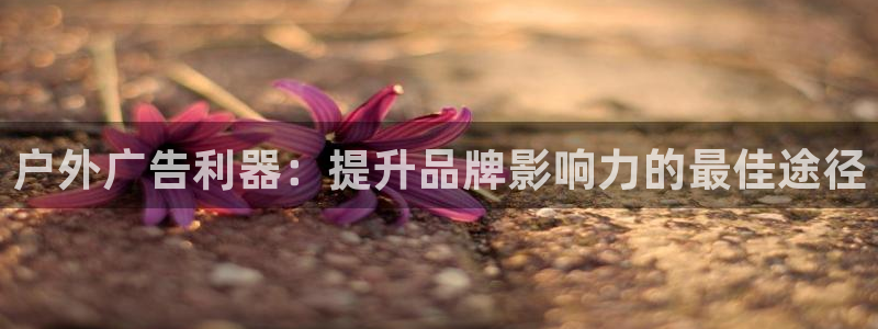 杏宇平台注册登录