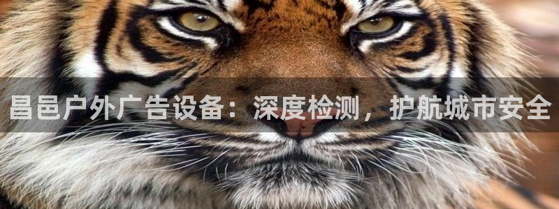 杏宇平台代理多少钱一次