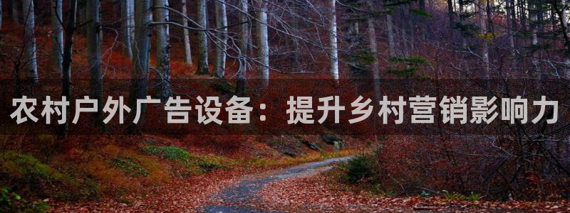 杏宇平台代理怎么赚钱：农村户外广告设备：提升乡村营销影响力
