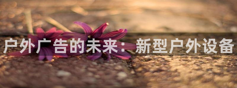 杏宇官方平台官网入口