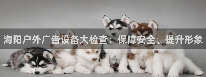 杏宇平台招商怎么样