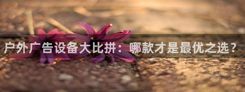 杏宇平台登录步骤是什么