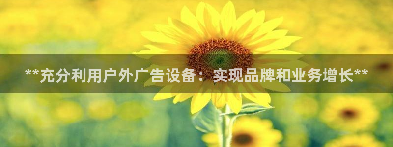 杏宇平台代理怎么样：**充分利用户外广告设备：实现品牌和业务增长**