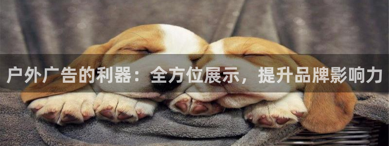 杏宇平台注册地址在哪里