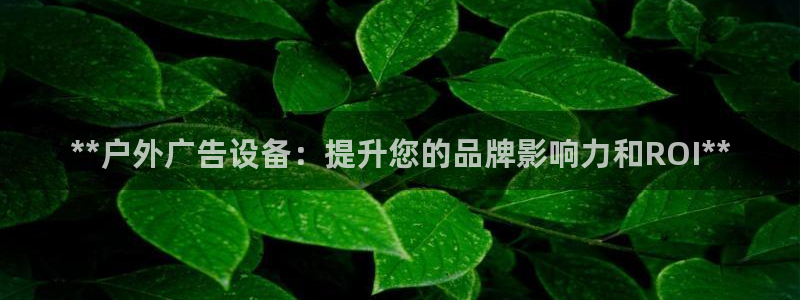 杏宇平台注册地址：**户外广告设备：提升您的品牌影响力和ROI**
