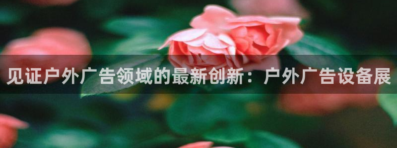 杏宇平台登录步骤图