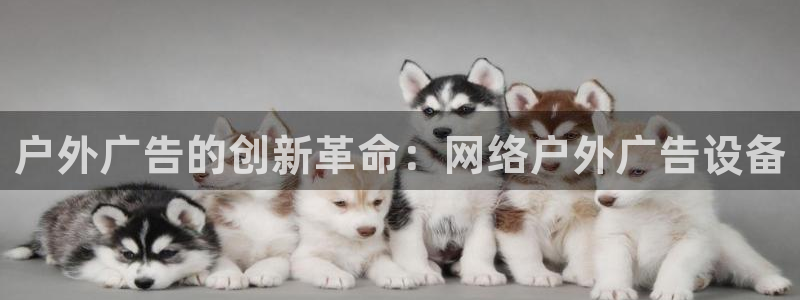 杏宇平台总代理电话
