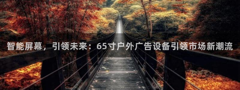 杏宇平台招商电话号码：智能屏幕，引领未来：65寸户外广告设备引领市场新潮流