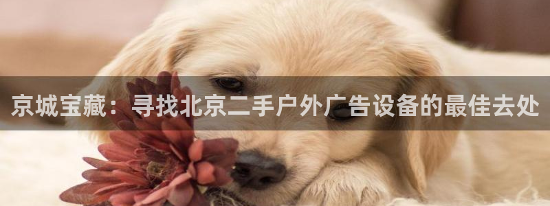 杏宇平台代理怎么样可靠吗：京城宝藏：寻找北京二手户外广告设备的最佳去处